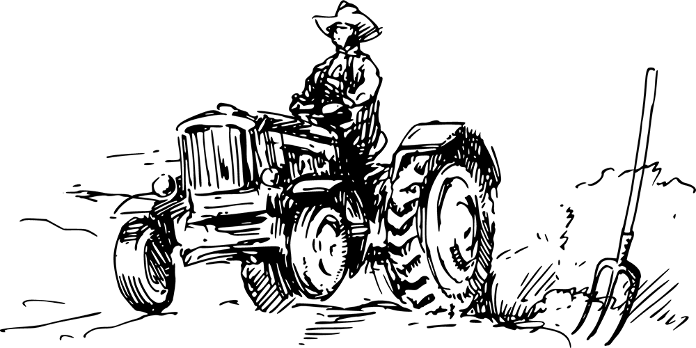Dekoratif şekil